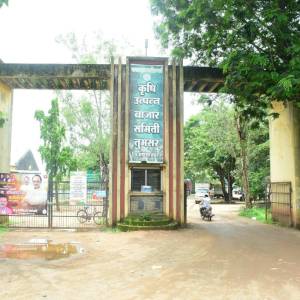 10b95359-2945-41e7-bcaa-eb414d45df7e_original