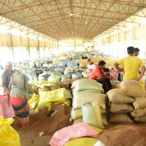 143da853-8207-4f8f-b244-675c82f2bf06_original